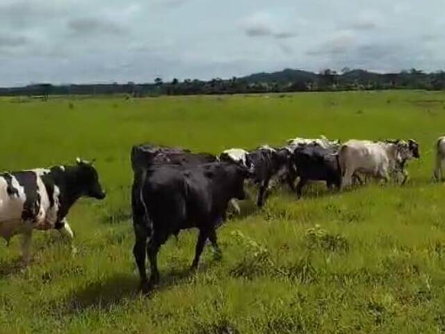 #3069 - Fazenda para Venda em Água Azul do Norte - PA