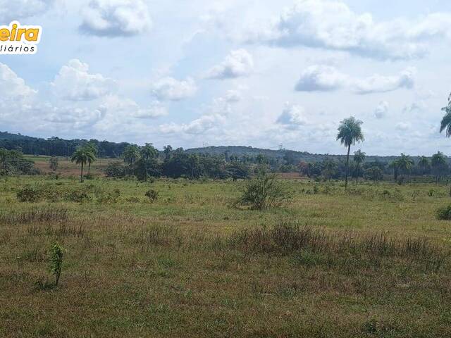 #3070 - Fazenda para Venda em Portel - PA - 3