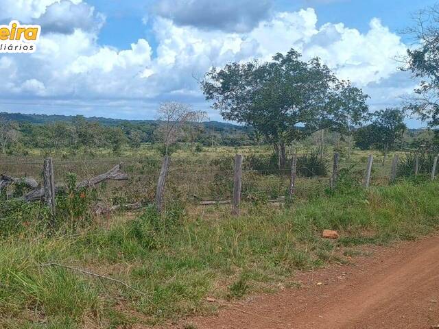 Fazenda para Venda em Porto Franco - 5
