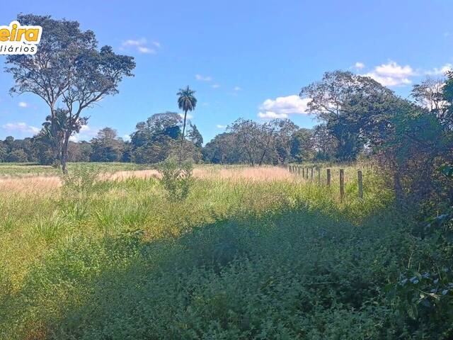#3070 - Fazenda para Venda em Portel - PA - 1