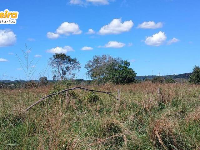 #3070 - Fazenda para Venda em Portel - PA - 2