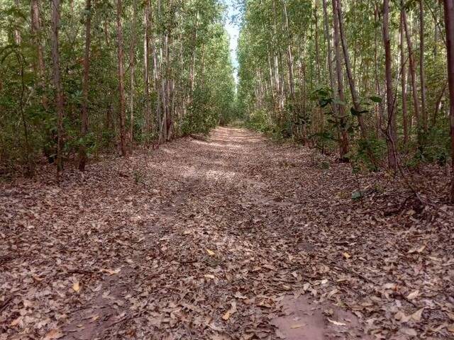 Fazenda para Venda em São Francisco do Maranhão - 5