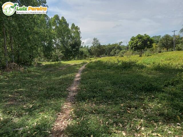 #3071 - Fazenda para Venda em Portel - PA - 2