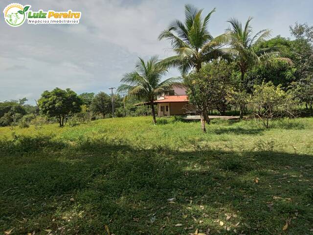 #3071 - Fazenda para Venda em Portel - PA - 1