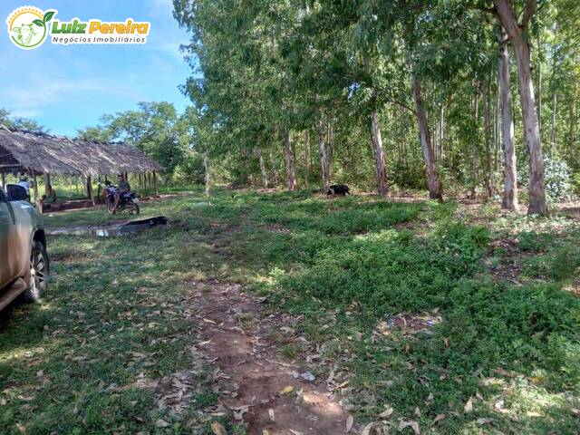 #3071 - Fazenda para Venda em Portel - PA - 3