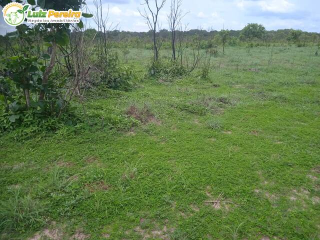 #3072 - Fazenda para Venda em Portel - PA - 2