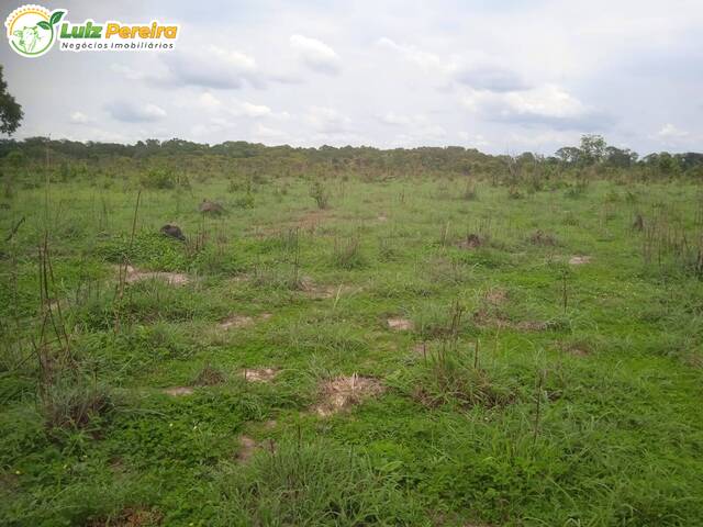 Fazenda para Venda em Santa Maria das Barreiras - 4