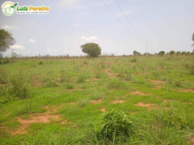 #3072 - Fazenda para Venda em Portel - PA - 1