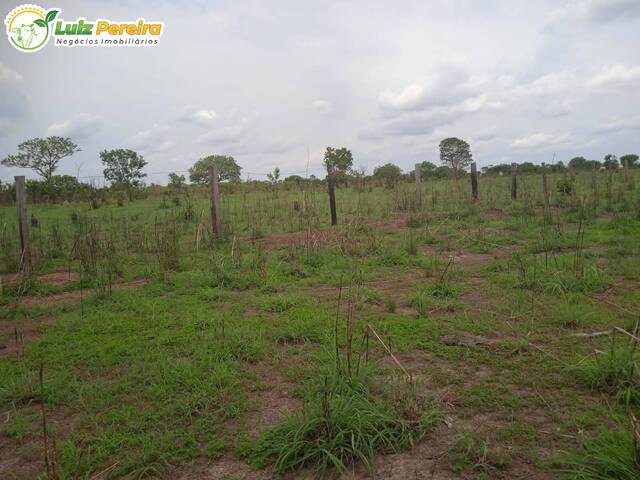 #3072 - Fazenda para Venda em Portel - PA - 3
