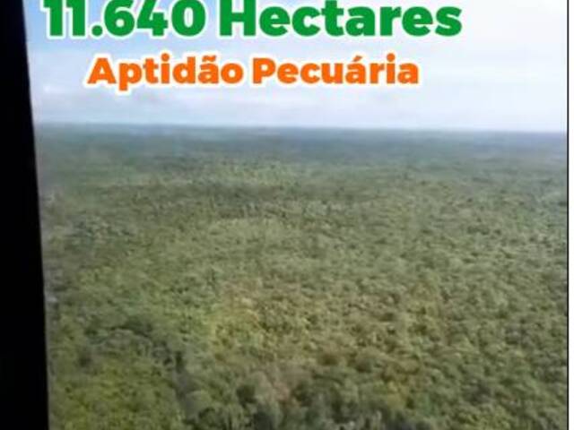 #3074 - Fazenda para Venda em Viseu - PA - 1