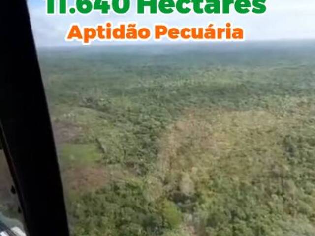 #3074 - Fazenda para Venda em Viseu - PA - 2