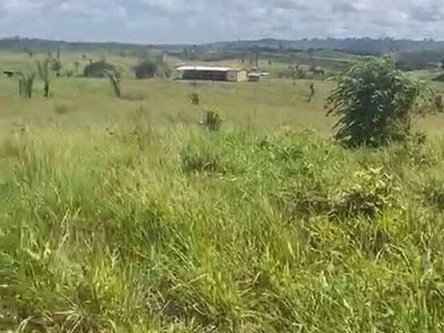 #3075 - Fazenda para Venda em Jacundá - PA - 1