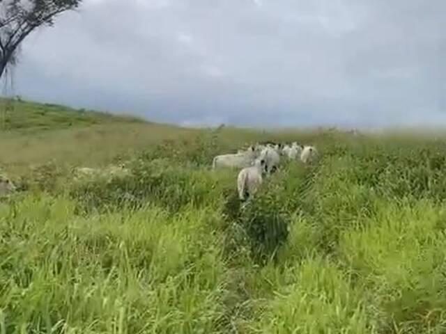 Fazenda para Venda em Jacundá - 4