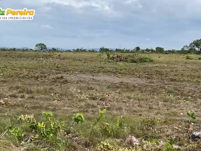 #3077 - Fazenda para Venda em Floresta do Araguaia - PA - 1