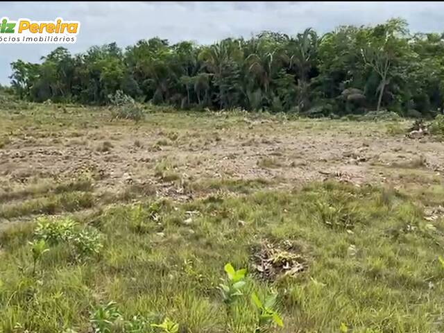 #3077 - Fazenda para Venda em Floresta do Araguaia - PA - 3