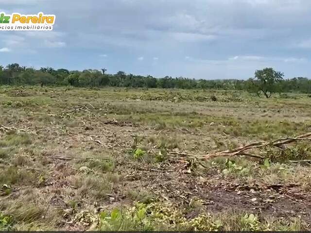 #3077 - Fazenda para Venda em Floresta do Araguaia - PA - 2