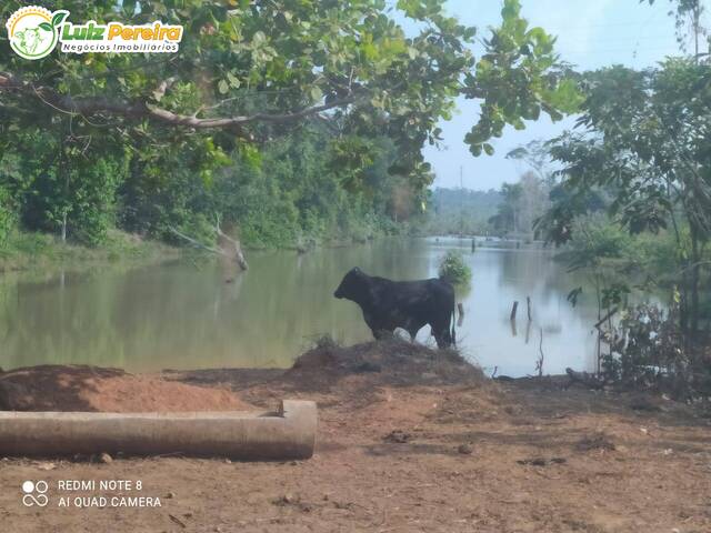 Fazenda para Venda em Tucuruí - 5