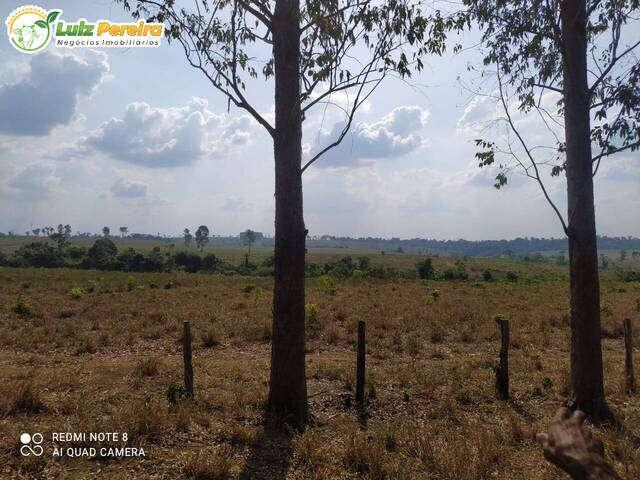 #3078 - Fazenda para Venda em Tucuruí - PA - 3