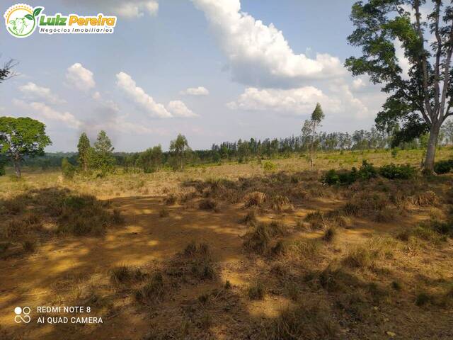 Fazenda para Venda em Tucuruí - 4