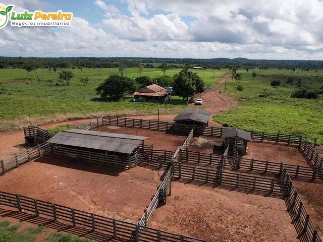 Fazenda para Venda em Bannach - 4