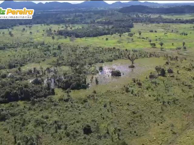 #3079 - Fazenda para Venda em Bannach - PA - 1
