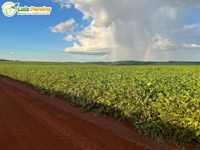 Fazenda para Venda em Ribas do Rio Pardo - 5