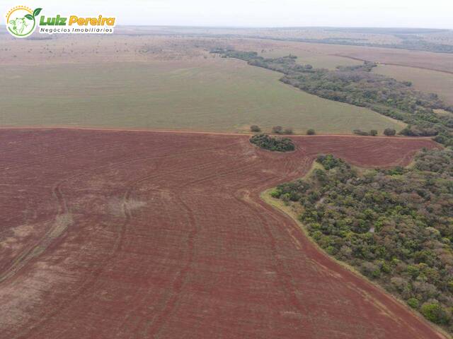 #3080 - Chácara para Venda em Ribas do Rio Pardo - MS - 2