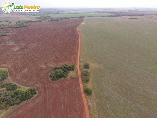 Fazenda para Venda em Ribas do Rio Pardo - 4