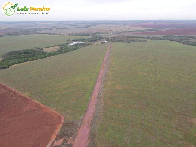 #3080 - Chácara para Venda em Ribas do Rio Pardo - MS - 3