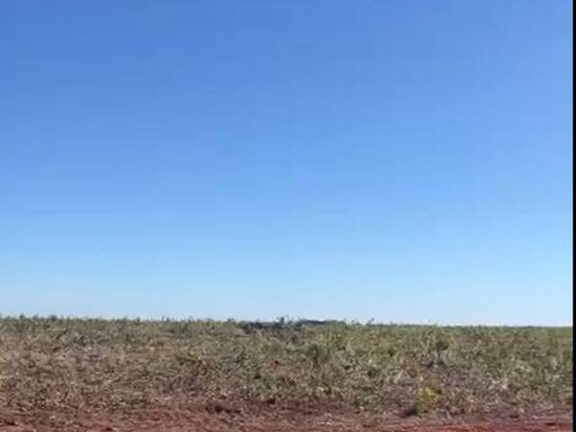 #3081 - Fazenda para Venda em Paranatinga - MT - 2