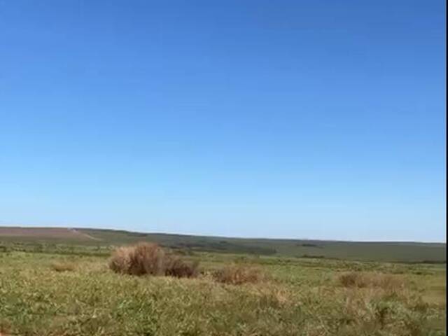 #3081 - Fazenda para Venda em Paranatinga - MT - 3