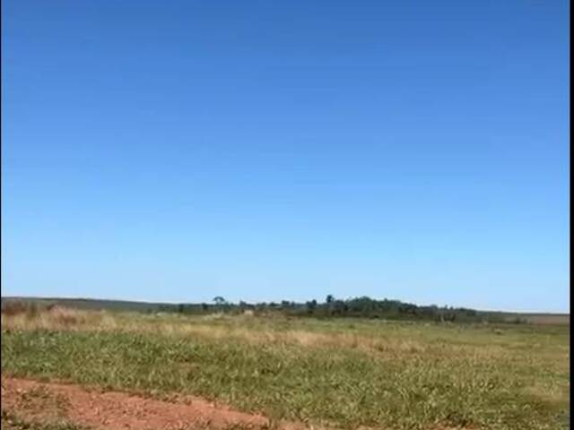 #3081 - Fazenda para Venda em Paranatinga - MT - 1