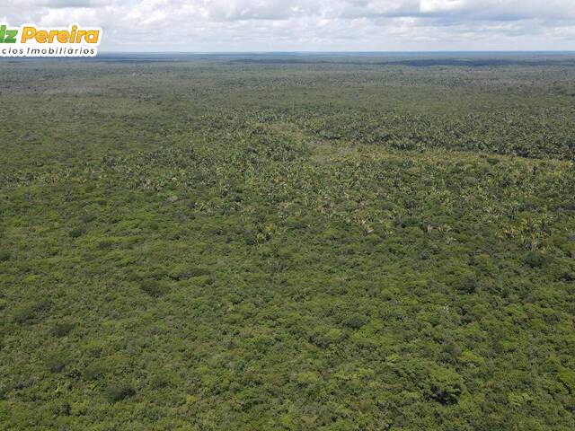 #3083 - Fazenda para Venda em Taipas do Tocantins - TO - 2