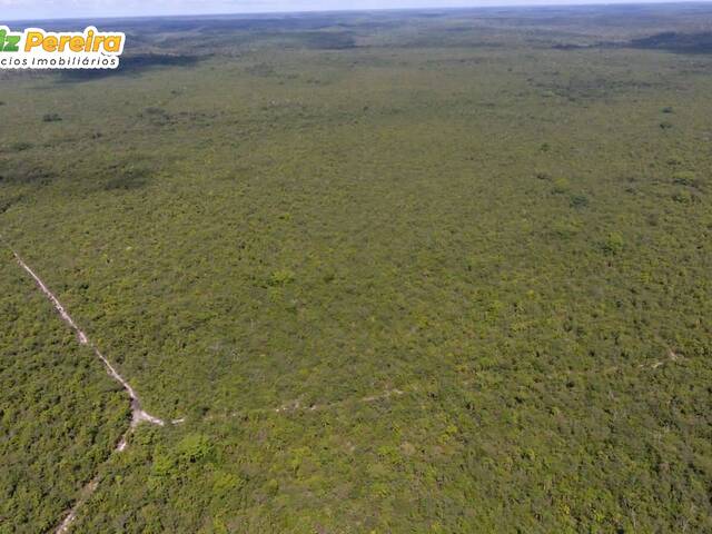 #3083 - Fazenda para Venda em Taipas do Tocantins - TO - 1
