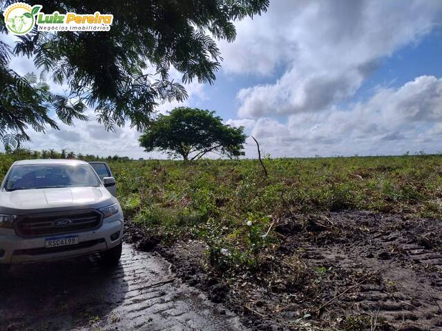 #3084 - Fazenda para Venda em União - PI - 3