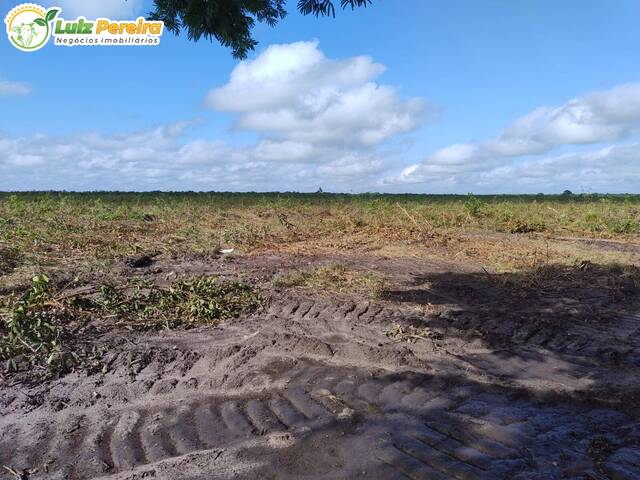 Fazenda para Venda em Miguel Alves - 5