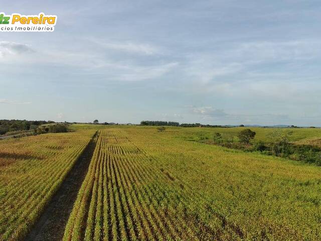 Fazenda para Venda em Dois Irmãos do Tocantins - 4