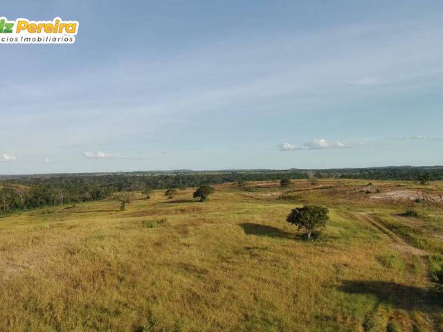 #3085 - Fazenda para Venda em Dois Irmãos do Tocantins - TO - 3