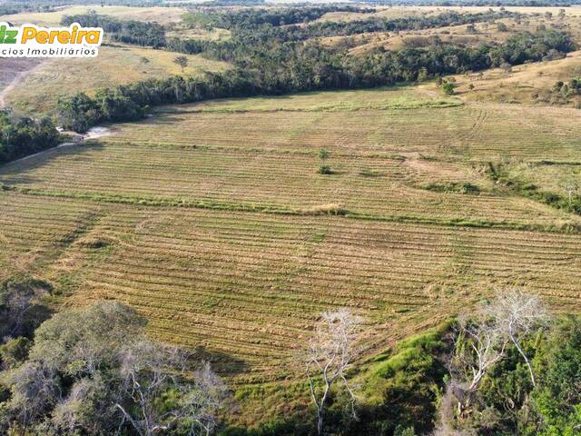 Fazenda para Venda em Dois Irmãos do Tocantins - 5