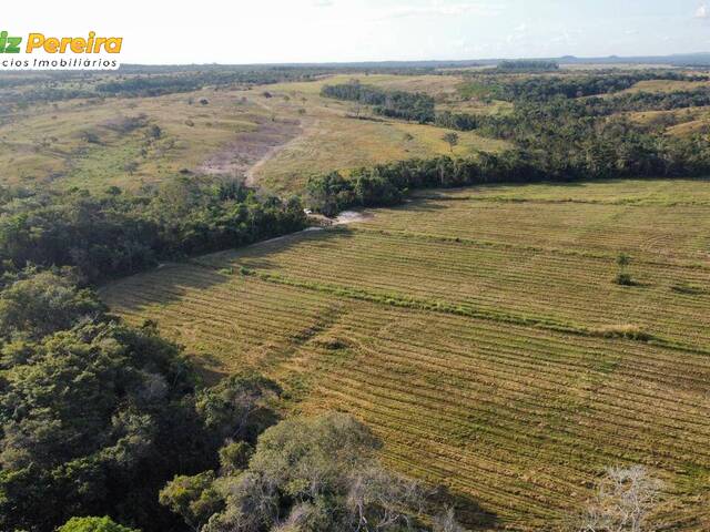 #3085 - Fazenda para Venda em Dois Irmãos do Tocantins - TO - 2