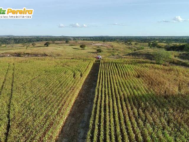 #3085 - Fazenda para Venda em Dois Irmãos do Tocantins - TO - 1