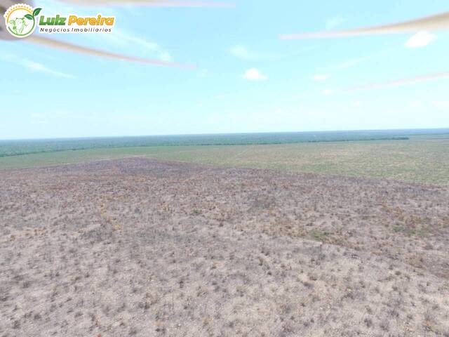 Chácara para Venda em Santa Quitéria do Maranhão - 4