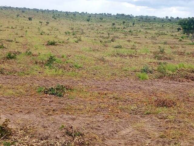 Chácara para Venda em Santa Quitéria do Maranhão - 5