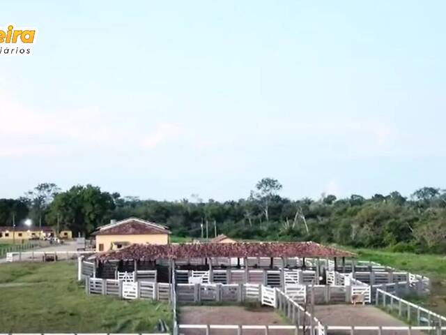 #3086 - Fazenda para Venda em São Domingos do Araguaia - PA - 3