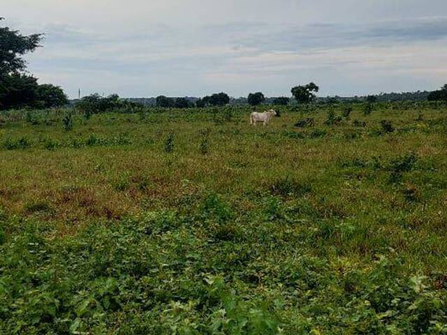 #3087 - Fazenda para Venda em Rio Maria - PA - 1