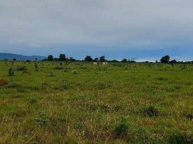 Fazenda para Venda em Rio Maria - 5