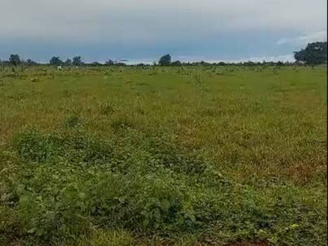 #3087 - Fazenda para Venda em Rio Maria - PA - 3
