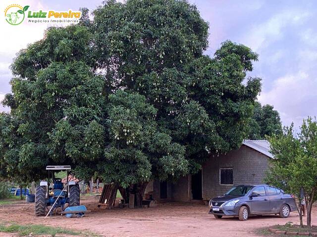 Fazenda para Venda em Taipas do Tocantins - 4