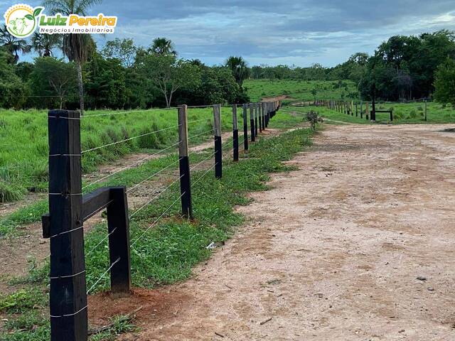 Fazenda para Venda em Taipas do Tocantins - 5