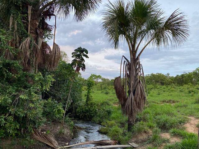 #3083 - Fazenda para Venda em Taipas do Tocantins - TO - 3